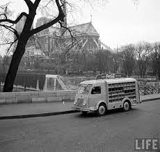 mor en brique avec neon cocamille